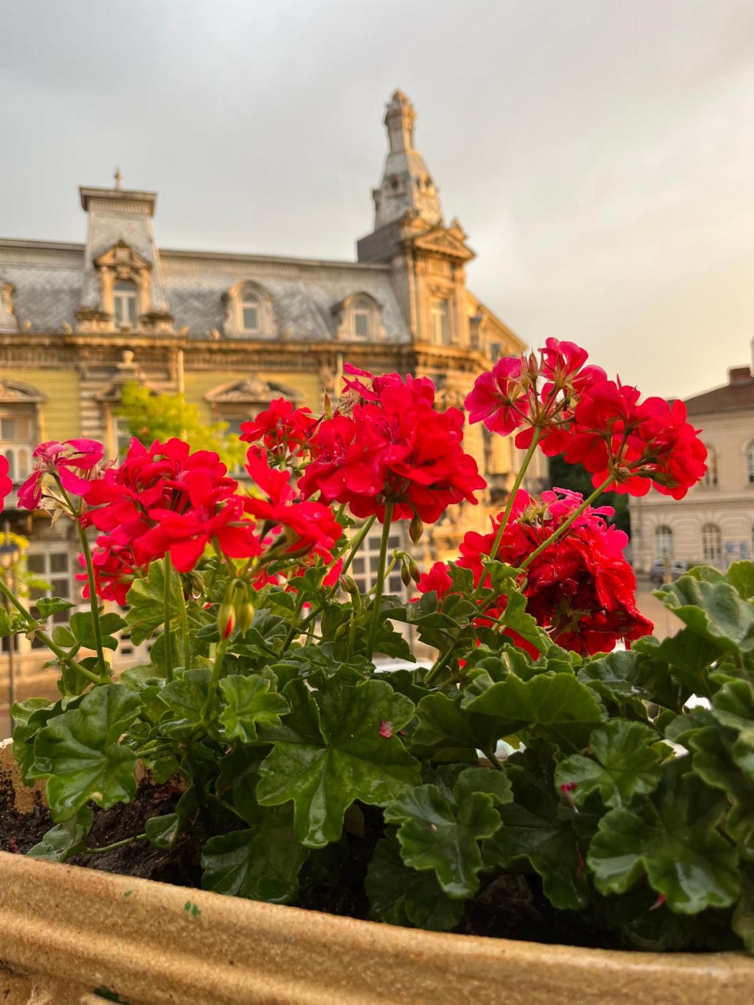 Hotel Anna Palace Ruse Exterior foto